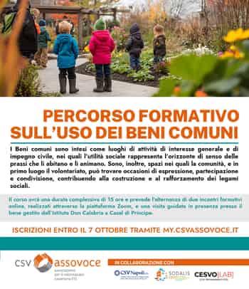 Immagine di SODALIS CSVS ETS