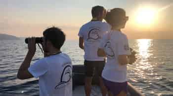 Immagine di DELFINI DEL PONENTE APS