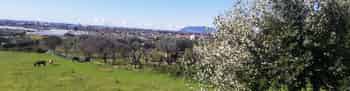 Immagine di DEMETRA APS