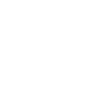 Immagine di SINERGETICA APS
