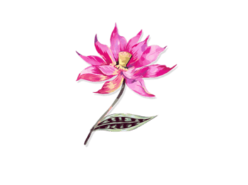 Immagine di ASSOCIAZIONE DHARMA WOOD APS