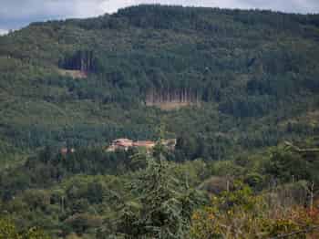 Immagine di GRUPPO PERCHE' NO  ODV