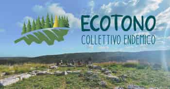 Immagine di ECOTONO COLLETTIVO ENDEMICO APS