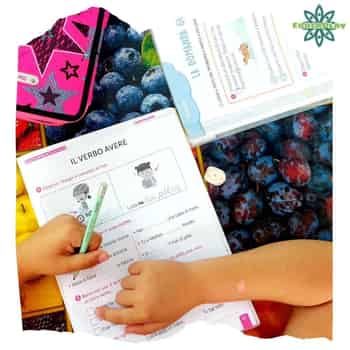 Immagine di EDUCAPLAY APS
