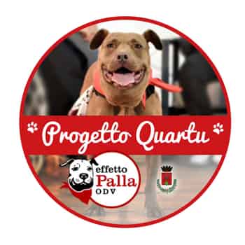 Immagine di EFFETTO PALLA - PER GLI ANIMALI DI NESSUNO - ODV