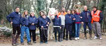 Immagine di EQUILANDIA ASSOCIAZIONE DI PROMOZIONE SOCIALE - ASSOCIAZIONE SPORTIVA DILETTANTISTICA
