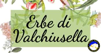 Immagine di CLUB AMICI VALCHIUSELLA APS