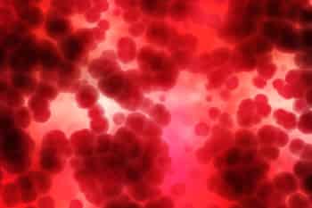 Immagine di FIDAS ALCAMO - E.T.S. - O.D.V. - ASSOCIAZIONE DI VOLONTARIATO DONATORI SANGUE