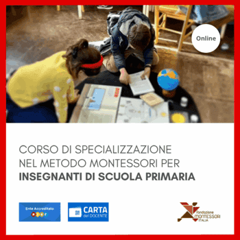 Immagine di FONDAZIONE MONTESSORI ITALIA ETS