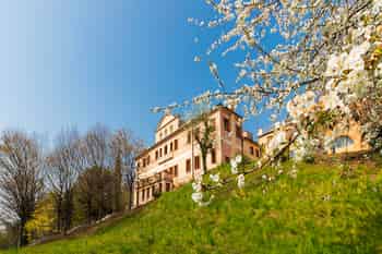 Immagine di FONDAZIONE SPORTSYSTEM - ENTE DEL TERZO SETTORE