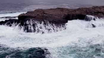 Immagine di ASSOCIAZIONE AMBIENTALISTA FRATE MARE