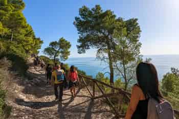Immagine di ASSOCIAZIONE DI PROMOZIONE SOCIALE GARGANO NATOUR