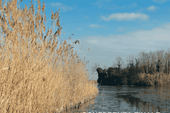 Immagine di GUARDIA COSTIERA AUSILIARIA CENTRO OPERATIVO DELTA TAGLIAMENTO ODV