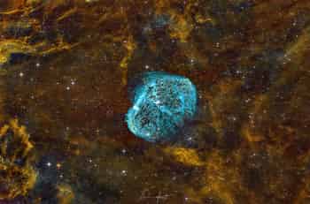 Immagine di GRUPPO NATURALISTICO BELLONA APS