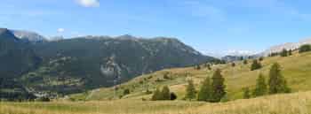 Immagine di GRUPPO PIEMONTESE STUDI ORNITOLOGICI “F.A. BONELLI”