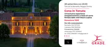 Immagine di FONDAZIONE GRADE ENTE FILANTROPICO DEL TERZO SETTORE