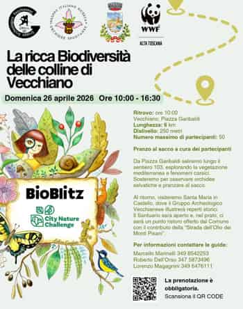 Immagine di ASSOCIAZIONE STUDI E RICERCHE STORICO ARCHEOLOGICHE ODV