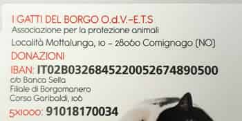 Immagine di I GATTI DEL BORGO  ASSOCIAZIONE PER LA PROTEZIONE DEGLI ANIMALI