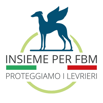 Immagine di INSIEME PER FBM - PROTEGGIAMO I LEVRIERI ODV