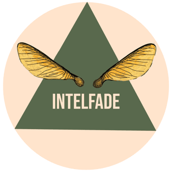Immagine di INTELFADE APS