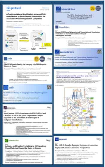 Immagine di ISTITUTO SOMATOGENE PER LA ONCOLOGIA PERSONALIZZATA E LA RICERCA ONCO-GENOMICA ETS