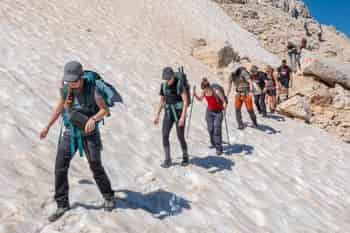 Immagine di LUPO TREK ETS