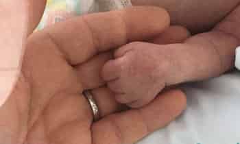 Immagine di LA MANO DI STELLA ODV