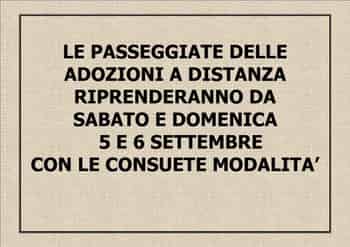 Immagine di LEGA NAZIONALE PER LA DIFESA DEL CANE-SEZIONE DI MILANO APS