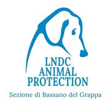 Immagine di LEGA NAZIONALE PER LA DIFESA DEL CANE - SEZIONE DI BASSANO DEL GRAPPA ASSOCIAZIONE DI PROMOZIONE SOCIALE
