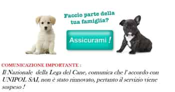 Immagine di LEGA NAZIONALE PER LA DIFESA DEL CANE - SEZIONE DI ROMA APS