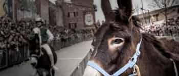 Immagine di ASSOCIAZIONE SAGRA SAN GIUSEPPE ETS