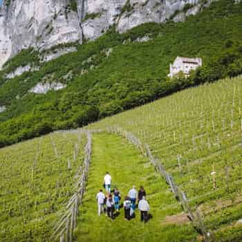 Immagine di CONSORZIO TURISTICO PIANA ROTALIANA KOENIGSBERG ETS