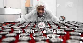 Immagine di PIETRA DI SCARTO - COOPERATIVA SOCIALE A R.L.