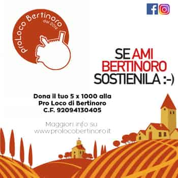 Immagine di PRO LOCO BERTINORO APS