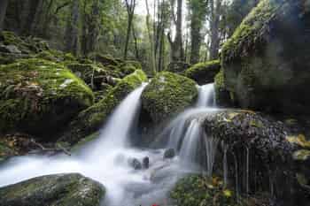 Immagine di ASSOCIAZIONE TURISTICA PRO LOCO DI CAMPO NELL' ELBA APS