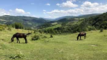 Immagine di PRO LOCO DI GRIZZANA MORANDI APS