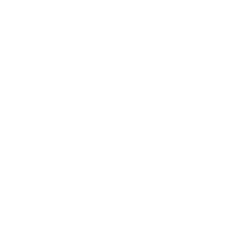 Immagine di PRO LOCO MONZAMBANO APS