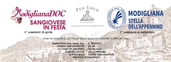 Immagine di PRO LOCO DI MODIGLIANA APS
