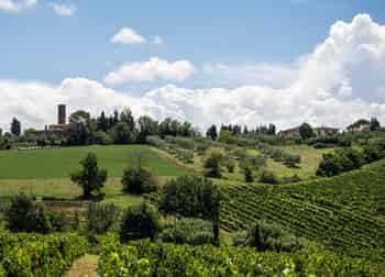 Immagine di PRO LOCO SAN VINCENZO A TORRI COLLINE SCANDICCESI APS