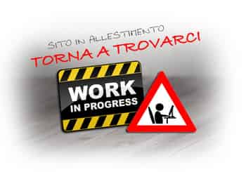 Immagine di VOLONTARI DI PROTEZIONE CIVILE A. MUSSI E G. AROSIO - LISSONE