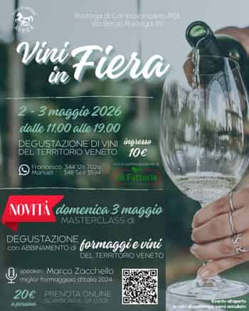 Immagine di ASSOCIAZIONE PROMOZIONE EVENTI RUSTEGA APS