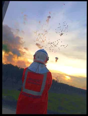 Immagine di ASSOCIAZIONE DI VOLONTARIATO RANGERS DI PROTEZIONE CIVILE ODV