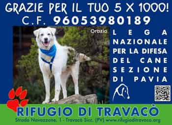 Immagine di LEGA NAZIONALE PER LA DIFESA DEL CANE -SEZIONE DI PAVIA APS