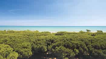 Immagine di PRO LOCO RIVIERA DEI PINI APS