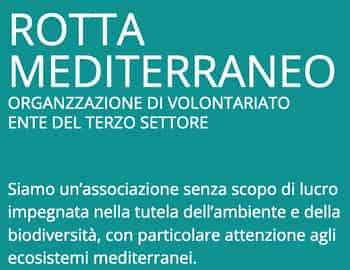 Immagine di ROTTA MEDITERRANEO ODV