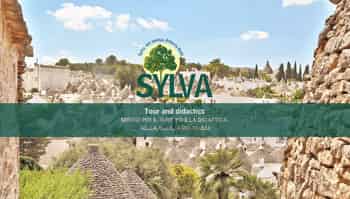 Immagine di SYLVA TOUR AND DIDACTICS - APS