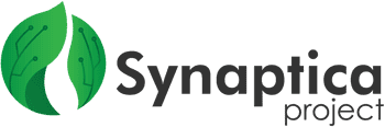 Immagine di SYNAPTICA PROJECT