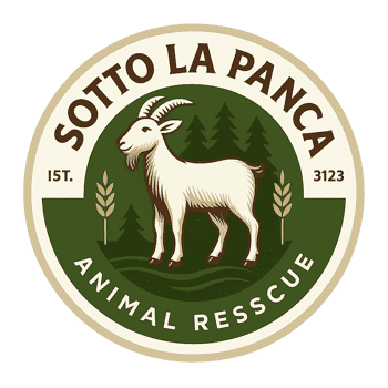 Immagine di SOTTO LA PANCA ODV