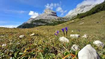 Immagine di S.A.T. SEZIONE DI PERGINE VALSUGANA APS