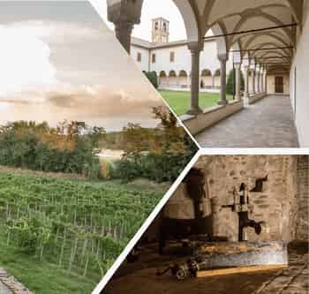 Immagine di SENTIERO D'ARTE TORRECHIARA-LANGHIRANO ODV
